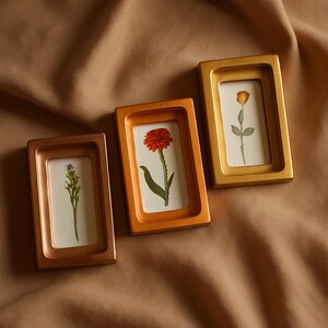 May include: Three rectangular frames in copper, orange, and gold, each containing a pressed flower on a white background. The flowers are a purple sprig, a red zinnia, and a yellow rose. The frames are arranged on a brown fabric.