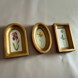 Puede incluir: Tres marcos dorados de diferentes formas: arqueado, ovalado y rectangular. Cada marco contiene una flor prensada sobre un fondo blanco. Las flores son un iris rojo, una flor amarilla y una pequeña rosa.