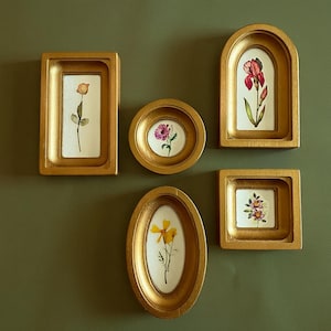 May include: A collection of five gold-colored picture frames in various shapes, each containing a pressed flower. The frames are rectangular, oval, circular, arched, and square. The flowers are in shades of pink, yellow, and orange, set against a white background.