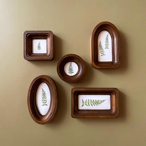 May include: A collection of five wooden framed botanical prints. Each frame is a different shape, including square, oval, round, arched, and rectangular. The prints feature a green fern on a white background, set against a muted green wall.