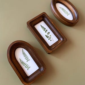 May include: Three wooden frames in different shapes, each containing a pressed fern on a white background. The frames are oval, rectangular, and arched, all with a dark wood finish. The background is a muted green.