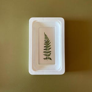 May include: A rectangular white wooden frame encases a clear resin block with a preserved green fern. The fern's delicate fronds are visible against the transparent background. The frame has a slightly recessed design.
