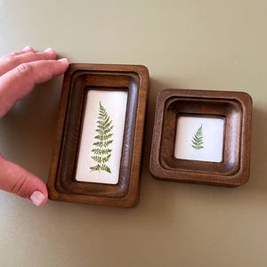May include: Two small, wooden frames with a natural fern leaf pressed inside. The frames are rectangular and square, with a dark brown finish. The fern is green and set against a white background. The frames are likely for displaying small art or botanical prints.
