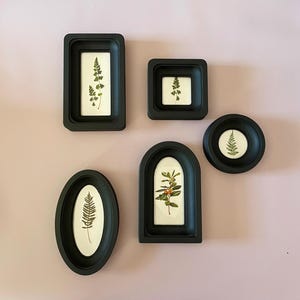 May include: A collection of framed botanical prints in various black frames. The frames are rectangular, square, oval, arched, and circular. Each frame contains a different pressed plant specimen against a white background. The wall is a light pink color.
