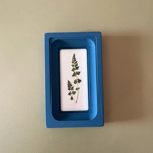 Può includere: Una cornice rettangolare in legno dipinta di blu racchiude un rettangolo bianco con una felce verde pressata. Le delicate foglie della felce sono visibili sullo sfondo bianco. La cornice è posta su uno sfondo verde tenue.