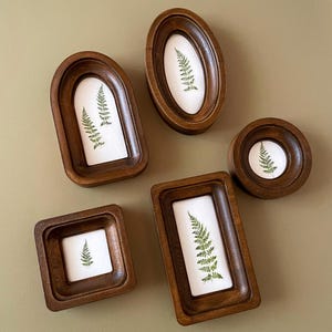 May include: A collection of five wooden frames in various shapes: oval, round, square, and rectangular. Each frame contains a white background with a green fern leaf. The frames are made of dark brown wood.