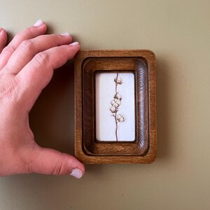 May include: A small, rectangular wooden frame with a recessed design. Inside, a white background displays a delicate botanical illustration of a cotton plant. The frame is held by a hand, showcasing the size and detail of the artwork.