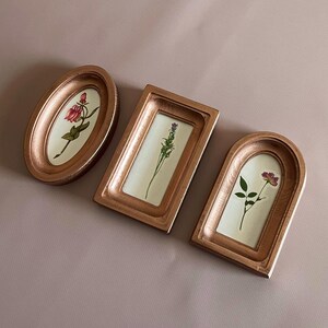May include: Three copper-colored picture frames in oval, rectangular, and arched shapes. Each frame holds a pressed flower on a white background. The flowers include a rose, lavender, and a small purple flower.