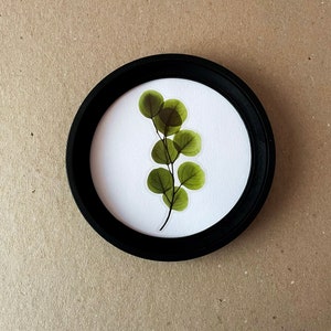以下が含まれることがあります： 黒いフレームに入った、押し花にした緑の葉の枝