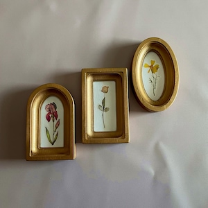 May include: Three small, gold-colored frames in different shapes, each containing a pressed flower. The frames are an arch, a rectangle, and an oval. The flowers are red, tan, and yellow.
