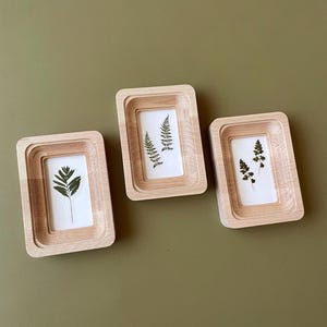 May include: Three small, light wood picture frames with pressed fern leaves on a white background. The frames are rectangular with a layered design. The background is a solid olive green.