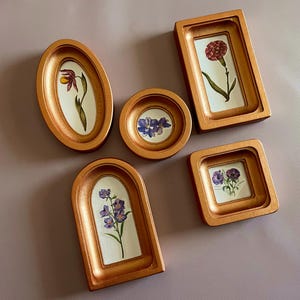 May include: A collection of five small, gold-colored picture frames in various shapes, each containing a botanical illustration of a flower. The frames are oval, round, rectangular, arched, and square, with a white background.