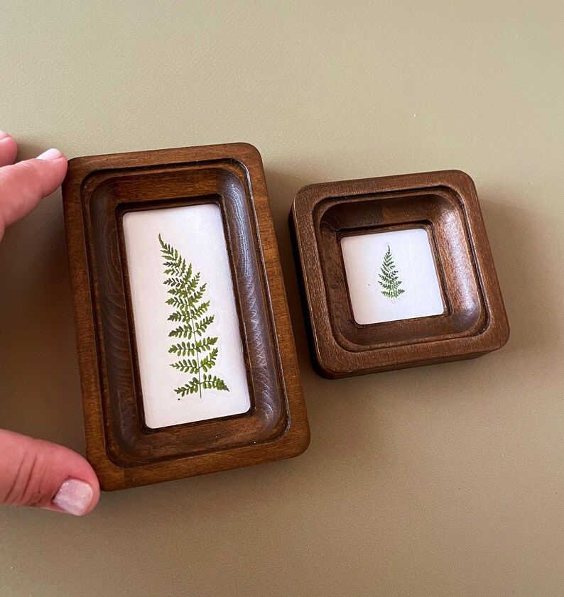 Pode incluir: Duas molduras de madeira, uma retangular e outra quadrada, cada uma contendo uma samambaia prensada. As molduras s&atilde;o de cor castanho quente e as samambaias s&atilde;o de um verde vibrante. As molduras est&atilde;o sobre um fundo neutro.