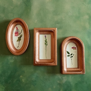 May include: Three copper-colored framed botanical prints. The frames are oval, rectangular, and arched. Each frame contains a pressed flower or plant specimen against a white background. The background is a textured green.