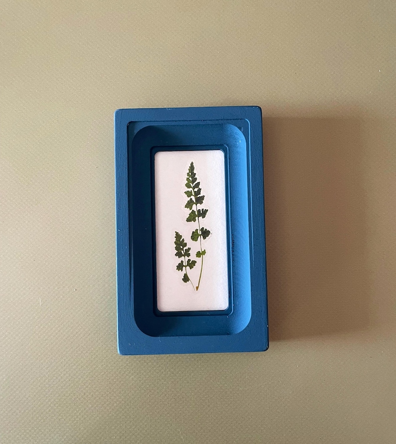 May include: A blue wooden frame, rectangular in shape, holds a white rectangle with a pressed green fern. The fern's detailed leaves are set against the white. The frame is painted a solid, bright blue.