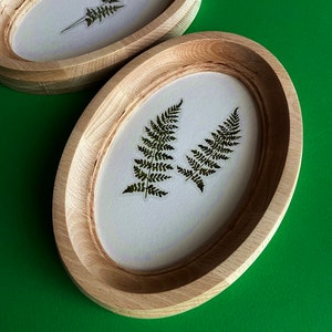 May include: Two oval wooden frames with a white background and pressed green ferns inside. The frames are made of light brown wood and have a natural finish.