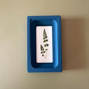 May include: A pressed fern encased in a rectangular, blue resin frame. The fern is green and brown, set against a white background. The frame has a raised edge, creating a shadow.