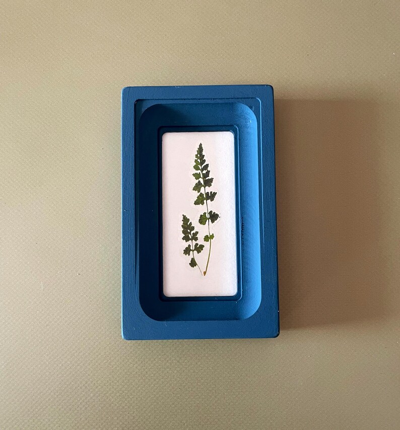 May include: A pressed fern encased in a rectangular, blue resin frame. The fern is green and brown, set against a white background. The frame has a raised edge, creating a shadow.