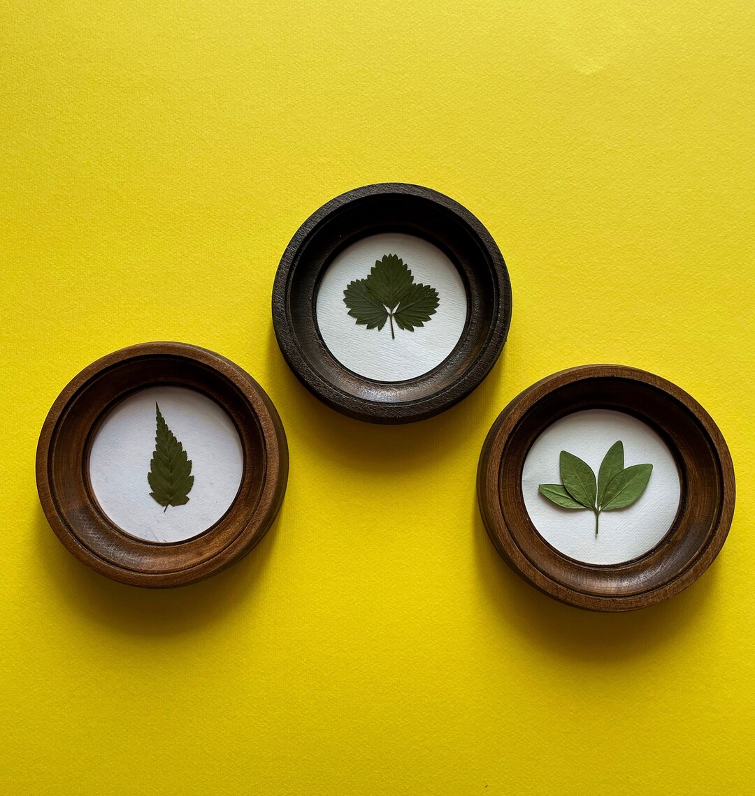 Round Frame Round Wall Decor Housewarming Gift Collage Frame Collection Frames Round Picture