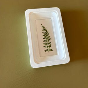May include: A white rectangular resin tray with a fern leaf encased in clear resin. The fern is green and the tray has a raised border. The tray is on a green surface.