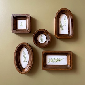 May include: Five brown wooden picture frames in different shapes and sizes, each containing a pressed fern with green leaves on a white background.