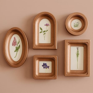 May include: A collection of six framed botanical prints in various shapes, including oval, arched, square, rectangular, and circular. The frames are a warm, copper color, and each print features a different pressed flower illustration.