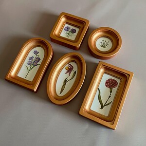 May include: A collection of six small, gold-colored picture frames in various shapes, each containing a botanical illustration of a flower. The frames are arranged on a light gray surface, showcasing the detailed artwork and warm tones.