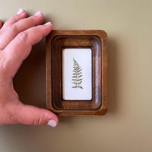 May include: A small, rectangular wooden frame with a recessed design. Inside, a white rectangle displays a delicate fern frond. The frame is held by a hand, showcasing the natural wood grain and the botanical art piece.