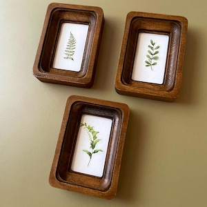 May include: Three small, rectangular wooden frames with a dark brown finish. Each frame holds a watercolor botanical print on white paper. The prints feature detailed illustrations of ferns and other green foliage.