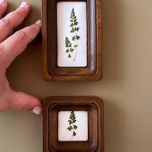 May include: Two small, wooden framed art pieces. Each frame has a dark brown finish and a white background. The art features a pressed green fern. One frame is rectangular, the other is square. The frames are displayed against a muted green background.