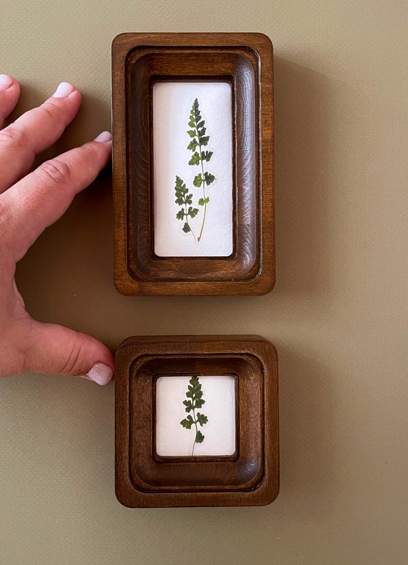 May include: Two small, wooden framed art pieces. Each frame has a dark brown finish and a white background. The art features a pressed green fern. One frame is rectangular, the other is square. The frames are displayed against a muted green background.