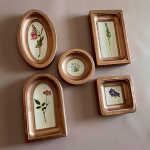 May include: A collection of five copper-colored framed botanical art pieces. Each frame holds a pressed flower or plant specimen against a white background. The frames vary in shape, including oval, rectangular, circular, arched, and square designs.