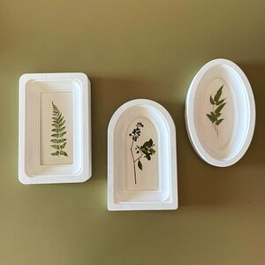 May include: Three white framed botanical art pieces. The frames are rectangular, arched, and oval, each containing pressed plants. The rectangular frame holds a fern, the arched frame has berries, and the oval frame features leaves. The background is a muted green.