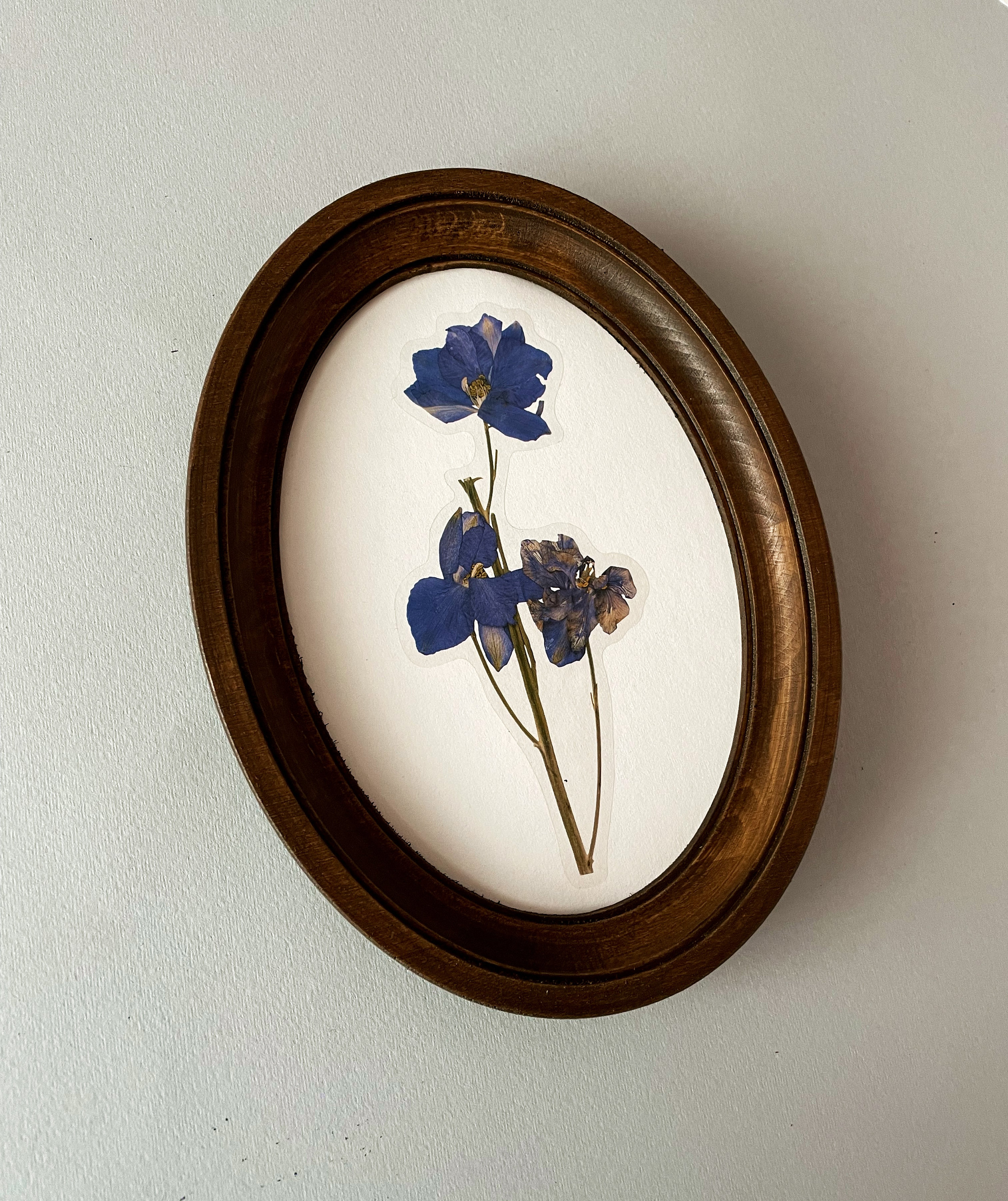 Buy Brown Oval Frame Oval Picture Frame Frame for Embroidery