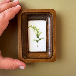 May include: A small, rectangular wooden frame with a dark brown finish. The frame contains a botanical print of a green plant with white flowers on a white background. The frame is held by a hand.