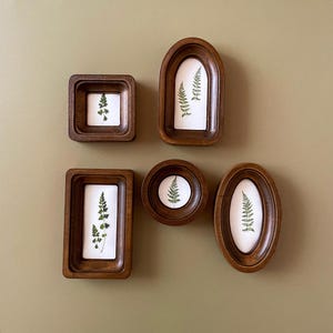May include: A collection of six wooden frames in various shapes: square, arched, rectangular, round, and oval. Each frame contains a white background with a pressed green fern. The frames are arranged on a muted green background.