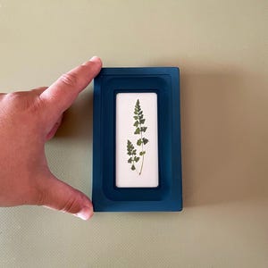 May include: A teal rectangular frame with a white interior, showcasing a pressed green plant. The frame is held by a hand against a light green background. The plant has delicate, feathery leaves.