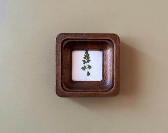 May include: A small, square, wooden frame with a dark brown finish. Inside the frame is a white square with a small, green, dried fern. The frame has rounded corners and a recessed inner edge, creating a shadow effect.