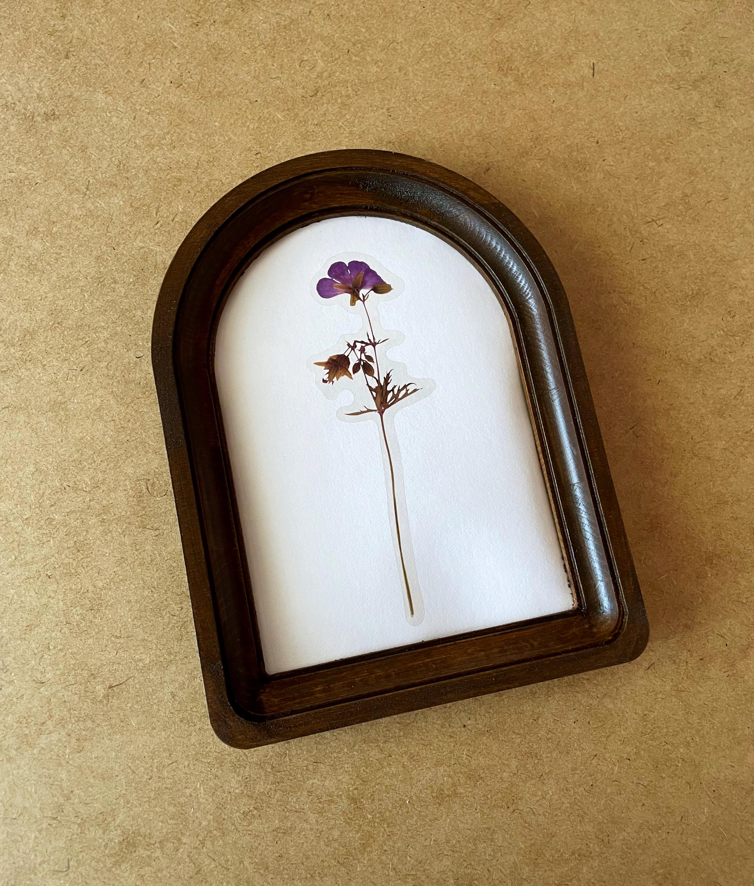 Oval Arch Frame, Brown Arched Frame, Picture Frames, Classic Photo ...
