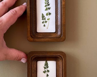 May include: Two small, wooden framed botanical art pieces. Each frame has a dark brown finish and a white background. The art features a pressed green fern. One frame is rectangular, the other is square.
