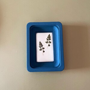 May include: A small, rectangular, blue frame with a white interior. Two dried green fern leaves are displayed on the white background. The frame is made of a solid material and has rounded corners.