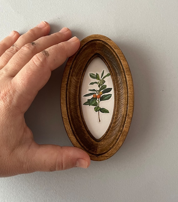 Miniature Oval Frame Size 2 X 4 Inches Small Oval Frame Brown