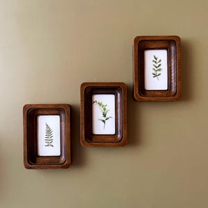 Op de afbeelding: Drie houten fotolijsten met een donkerbruine afwerking, elk met een botanische print van een ander type blad.