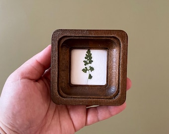 May include: A small, square wooden frame with a pressed green fern on a white background. The frame is a dark brown color and has a recessed area for the artwork. The fern is centered in the frame.