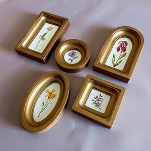 May include: A collection of five gold-colored frames in various shapes, each containing a pressed flower on a white background. The frames include rectangular, oval, circular, arched, and square designs, showcasing botanical art.