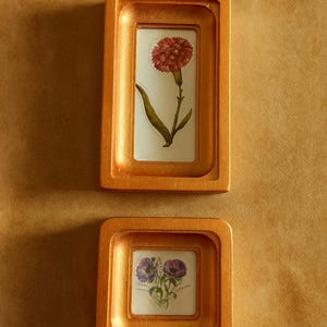 May include: Two gold-colored rectangular frames with floral prints. The top frame contains a red flower, and the bottom frame features purple flowers. The frames are set against a textured, golden-brown background.