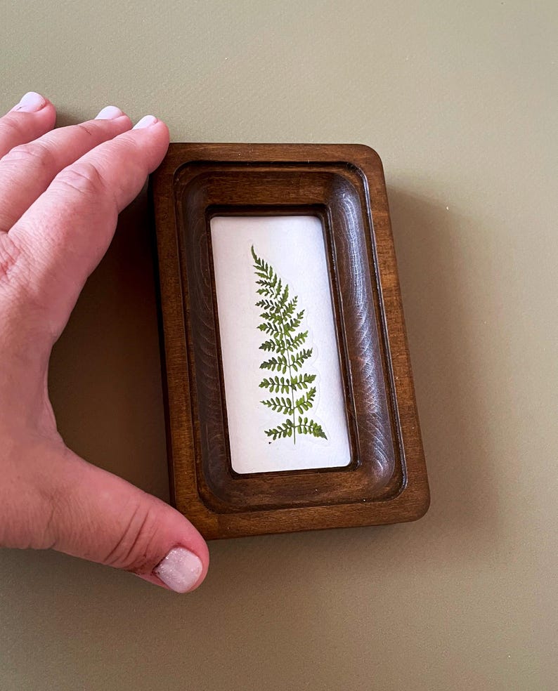 May include: A small, rectangular wooden frame with a pressed fern leaf on a white background. The frame is a dark brown color and has a beveled edge. The fern is green and detailed.