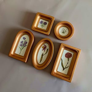 May include: A collection of six small, gold-colored picture frames in various shapes, each containing a botanical illustration of a flower. The frames are arranged on a light purple surface.
