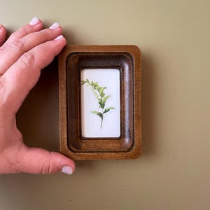 May include: A small, rectangular wooden frame with a dark brown finish. The frame contains a botanical print of a green plant with white flowers on a white background. The frame is held by a hand.