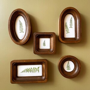 Può includere: Una collezione di cinque stampe botaniche incorniciate in legno. Ogni cornice ha una forma diversa: ovale, quadrata, rettangolare, ad arco e circolare. Le stampe presentano felci verdi su sfondo bianco, su una parete verde tenue.